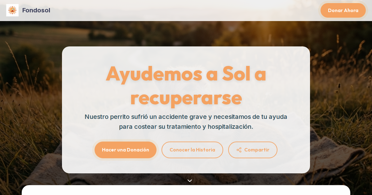 Fondosol — plataforma de crowdfunding médico con transparencia total y reportes en tiempo real